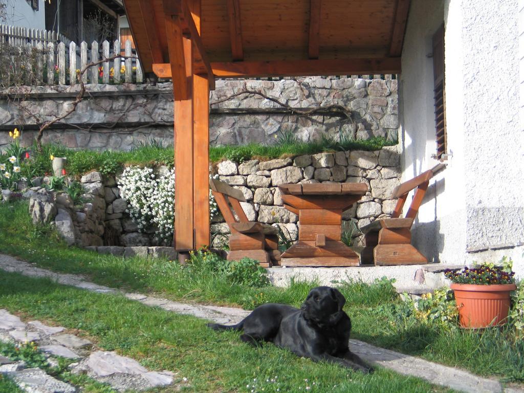 Tourist Farm Zvanc كوباريد المظهر الخارجي الصورة