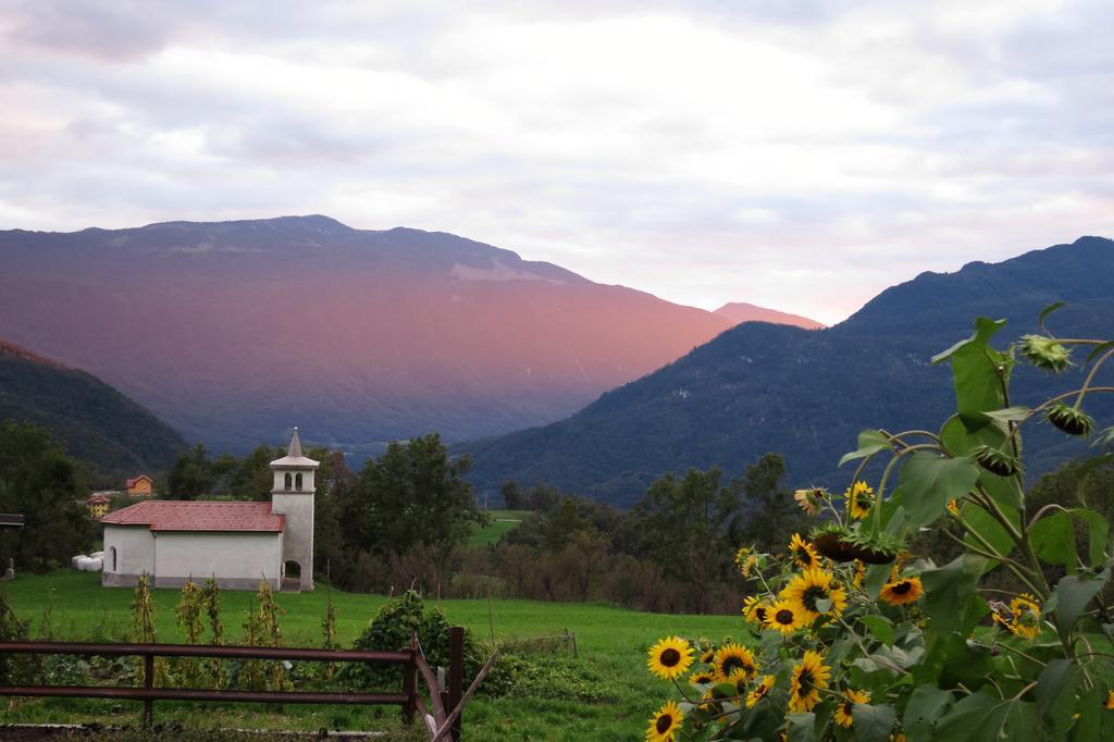 Tourist Farm Zvanc كوباريد المظهر الخارجي الصورة